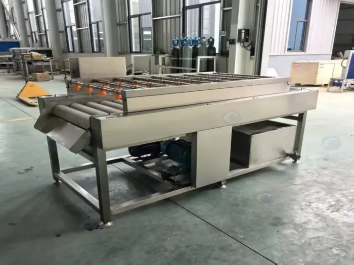 Máquina de limpeza com rolo de escova paralelo