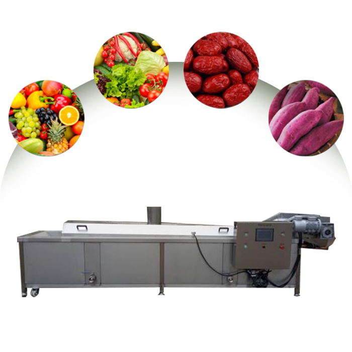 continuous vegetable blanching machine