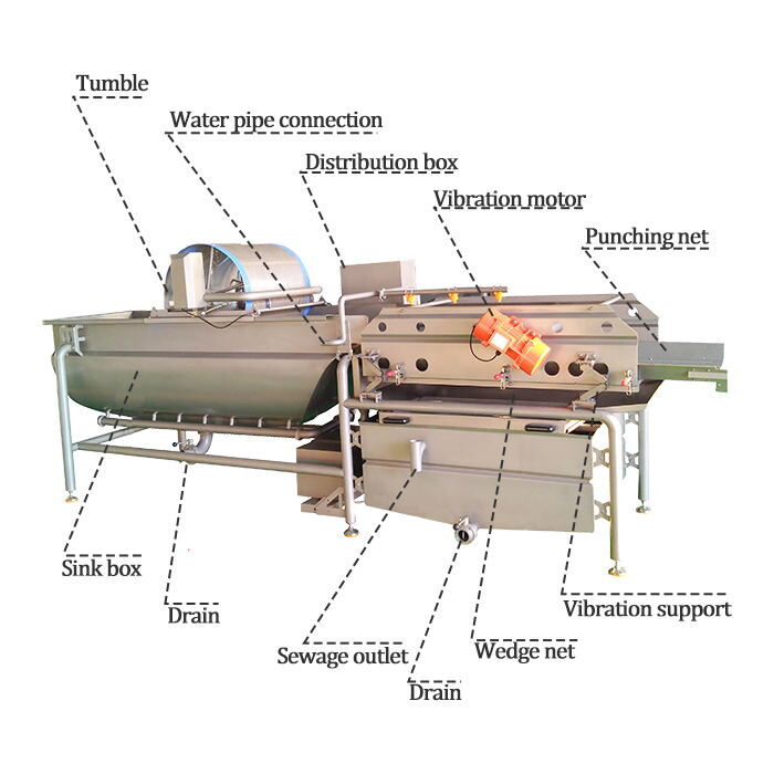 Vortex vegetable washing machine structure