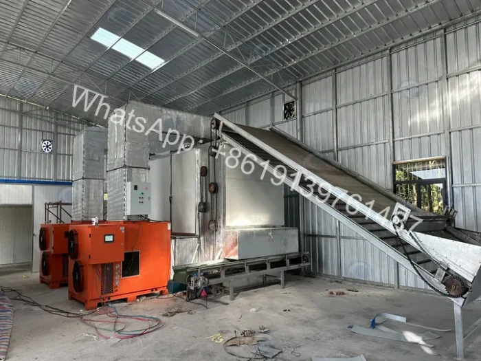 Continuous Belt Vegetable Dehydrator