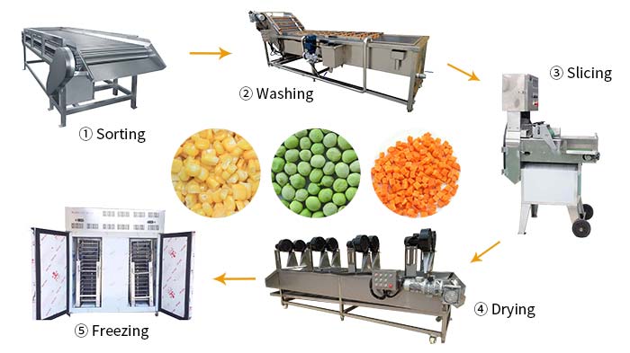 processo de fabricação de vegetais congelados