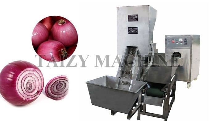 Fully automatic onion skin removal machine