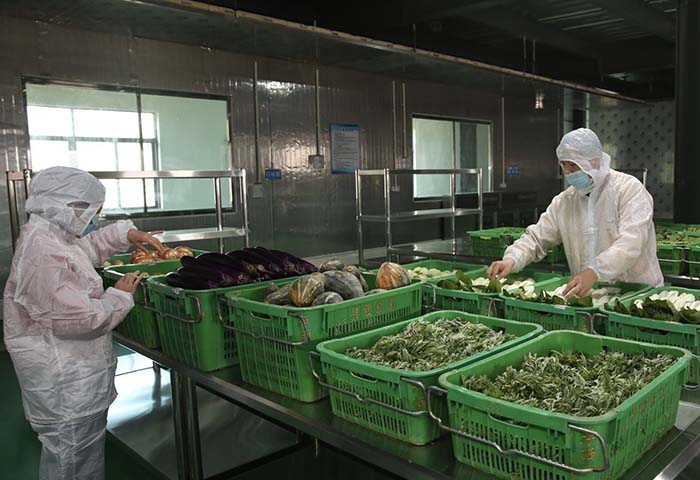 Partially processed vegetables processing