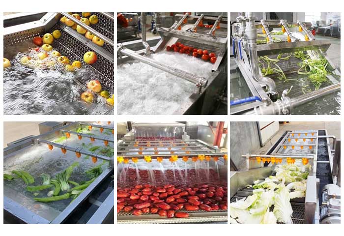 Vegetable fruit cleaning machine application