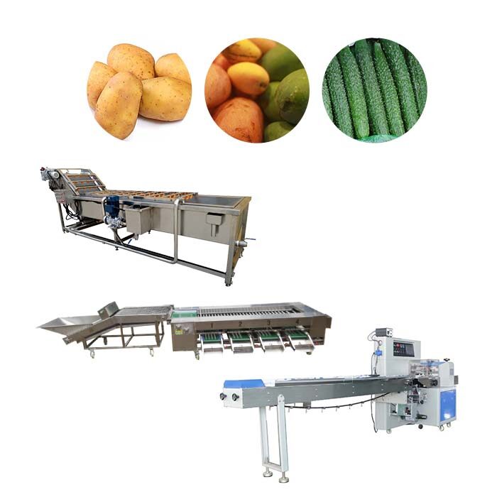 Vegetable fruit sorting packaging equipment