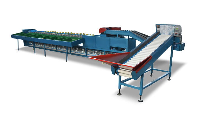 vegetable fruit weighing grading machine