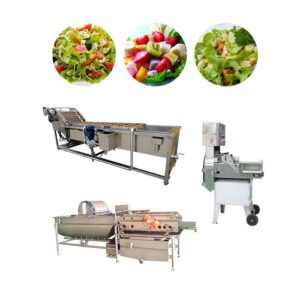 vegetable salad processing line
