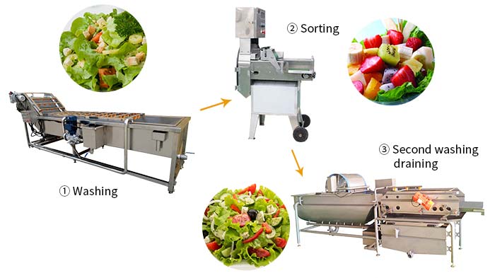 vegetable salad production line process