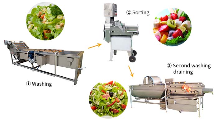 proceso de línea de producción de ensalada de verduras