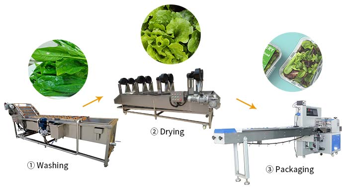 diagrama de flujo de la línea de secado de lavado de verduras