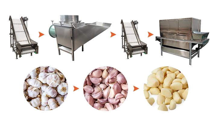 Garlic peeling processing line process
