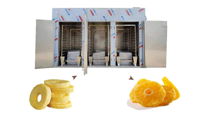 pineapple fruit dryer