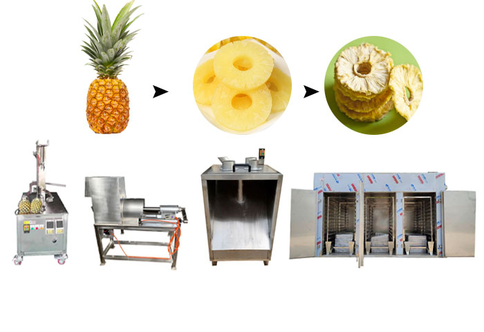 pineapple processing machines