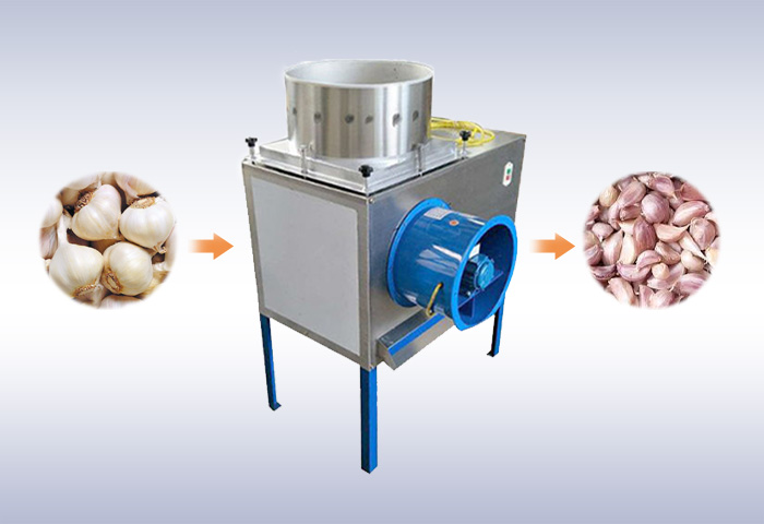 Garlic clove separator machine