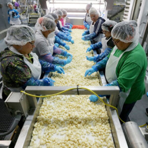 garlic processing