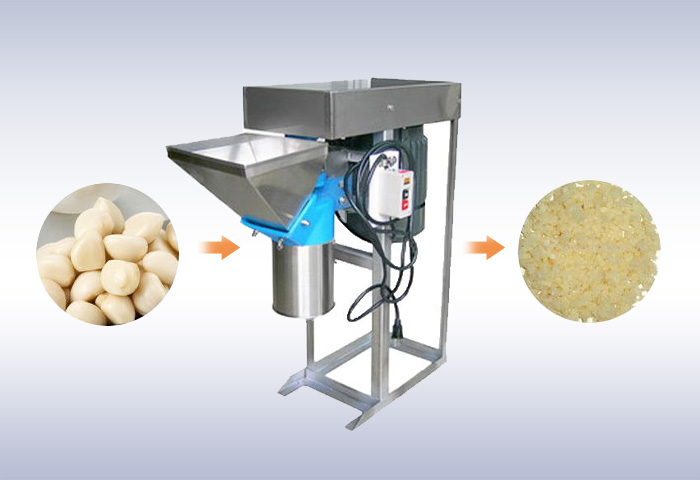 Industrial garlic paste machine