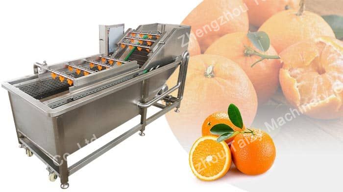 Citrus fruit washing machine