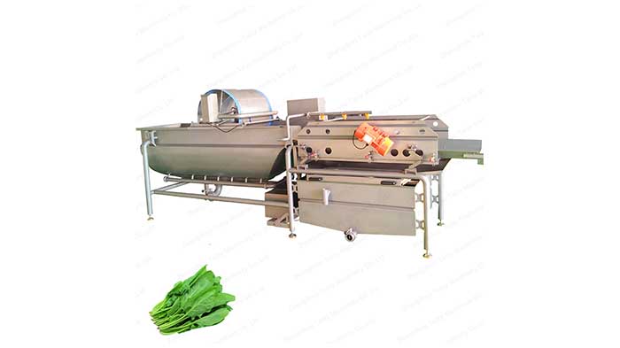 Eddy current lettuce washing machine