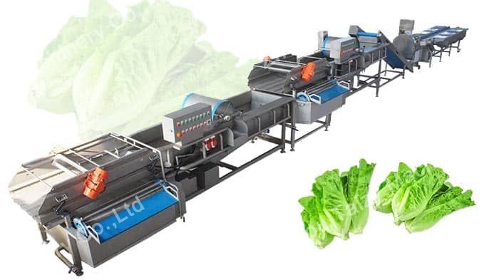 Máquina de processamento de vegetais de folhas verdes