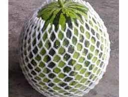 Melon net