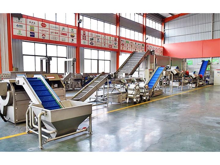 Taizy leaf vegetable washing plant for sale