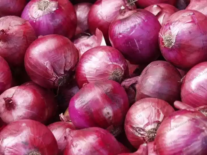 Onions for grading