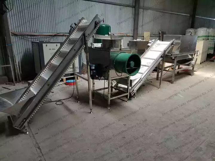 Commercial garlic processing plant