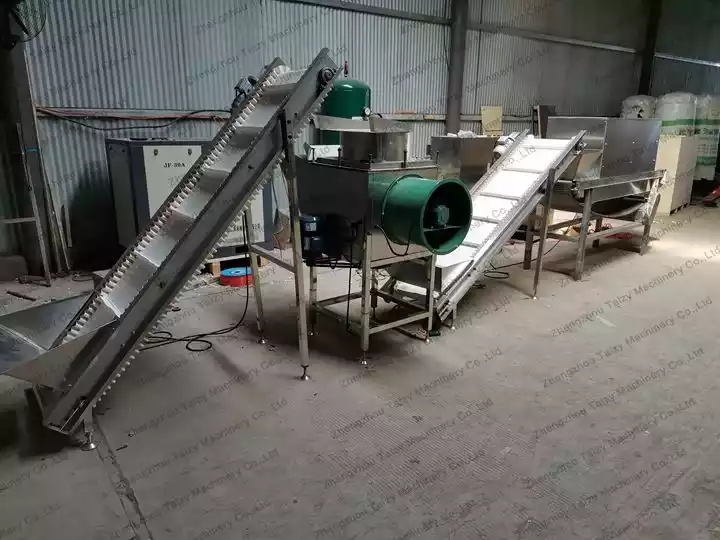 commercial garlic processing plant