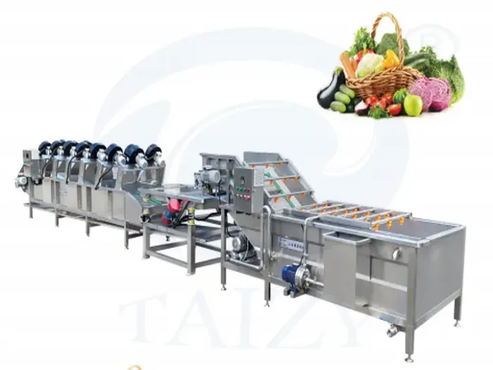 Fruit Vegetable Washing and Drying Line