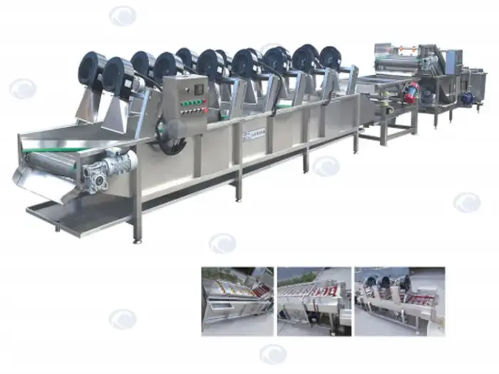 Fruit and Vegetable Washing and Drying Line