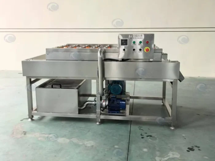Commercial Vegetable Brush Roller Washing Machine