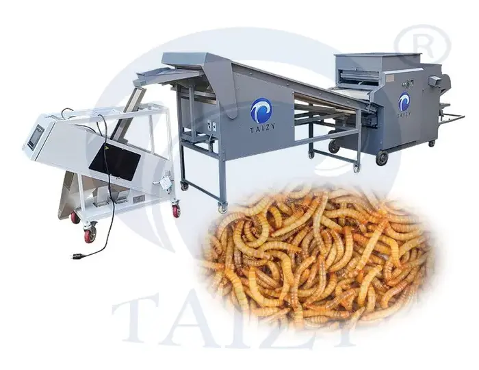 Mealworm Sorting Machine