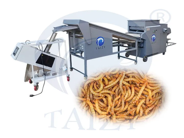 Mealworm Sorting Machine