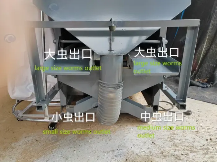 Outlet of the Mealworm Screening Machine