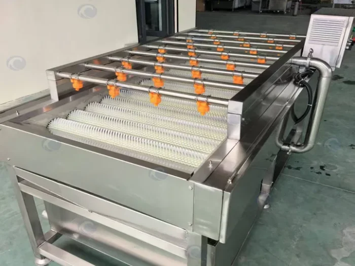 Potato Ginger Brush Washing Equipment