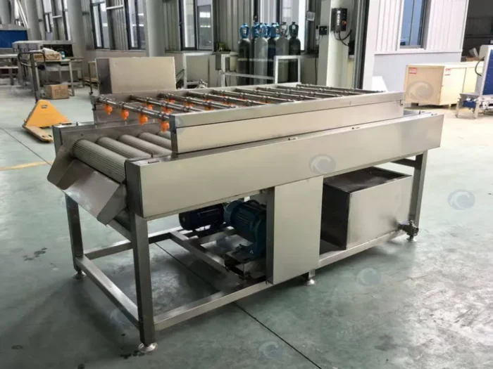 Root Vegetable Brush Roller Cleaning Machine