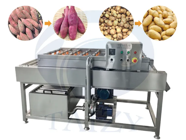 Vegetable Brush Roller Washing Machine