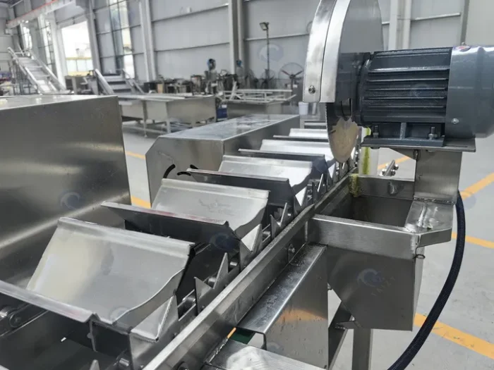 Pineapple Top Cutting Machine Conveyor System