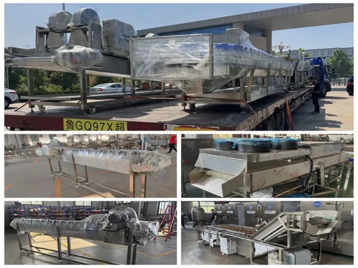 Shipment of Mango Pineapple Washing Line